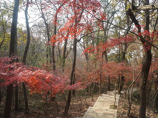 640.webp.jpg 640.webp.jpg