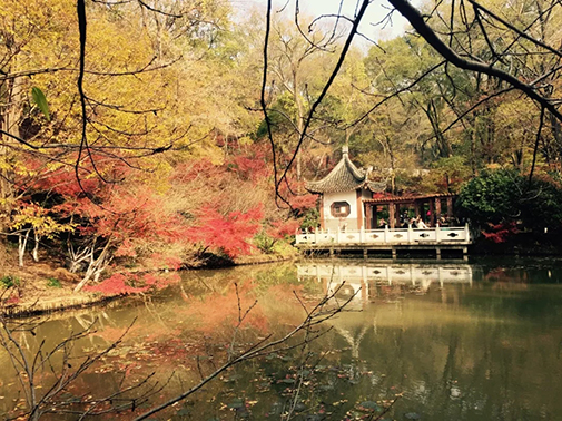 640.webp (7).jpg 640.webp (7).jpg