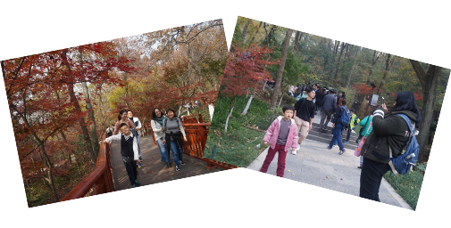 未标题-2.jpg 未标题-2.jpg